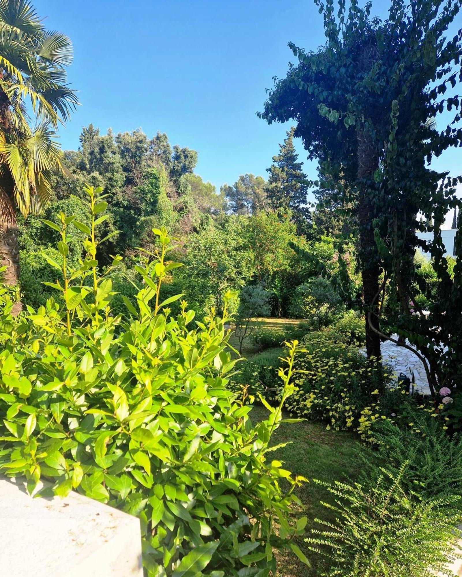 Molo View Apartment روفينج المظهر الخارجي الصورة